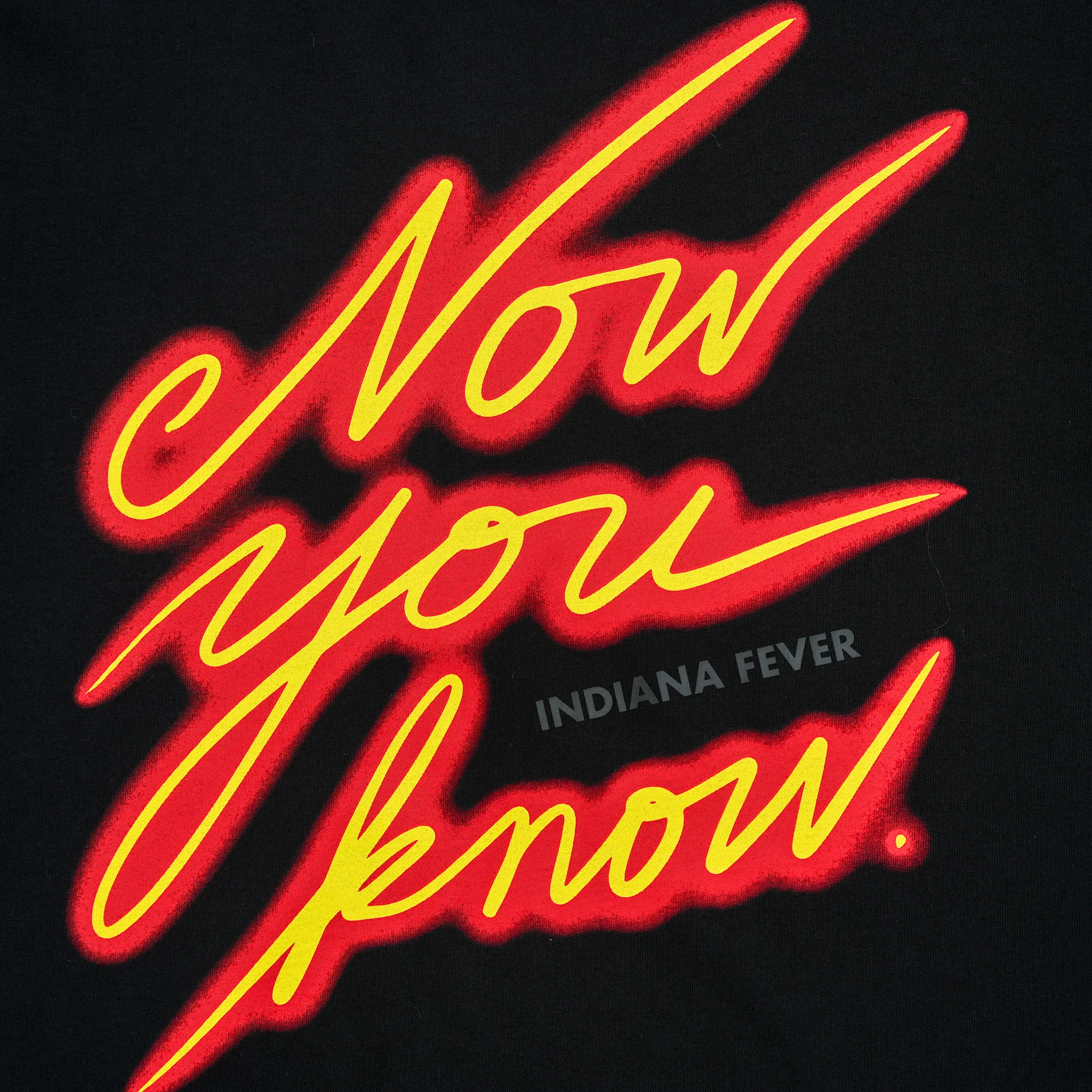 Adult Indiana Fever Now You Know T-shirt in Black by 9Commons 3 Adult Indiana Fever Now You Know T-shirt in Black by 9Commons